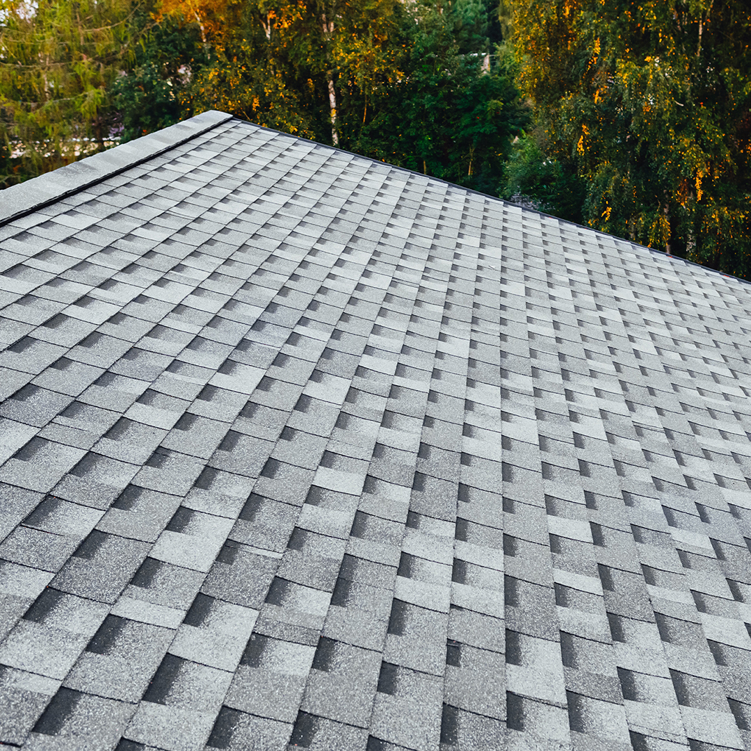 Shingle roof