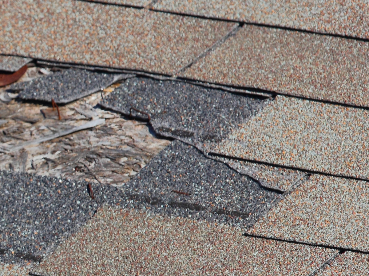 Damaged roof shingles