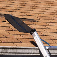 Damaged shingles