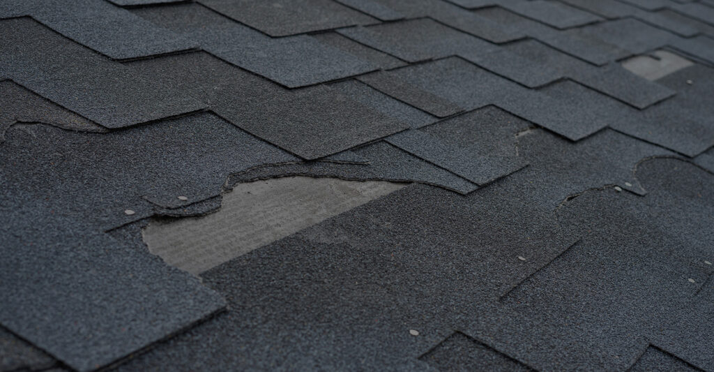 Damaged roof shingles