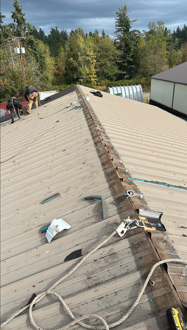 NWFSC Manchester Research Station roof before photo