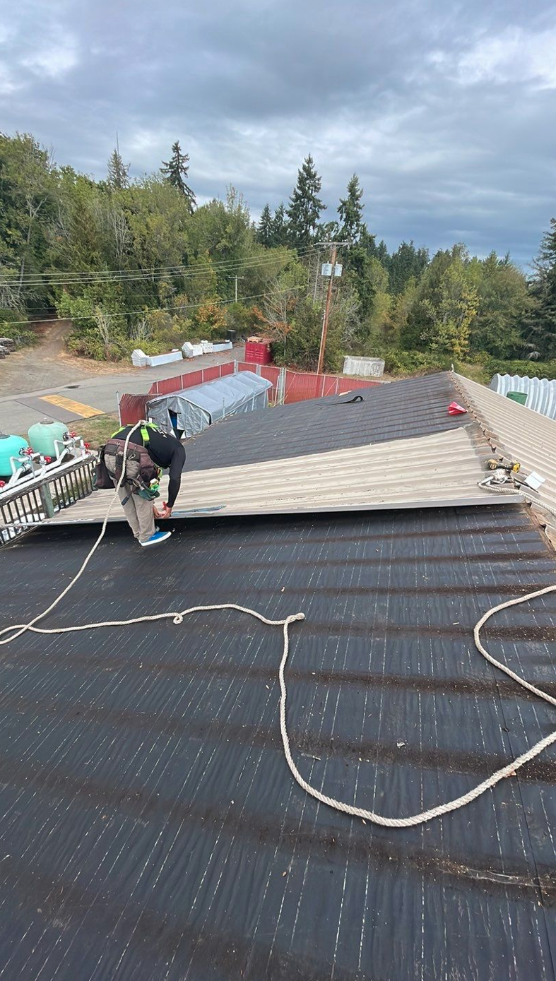 NWFSC Manchester Research Station roof before photo