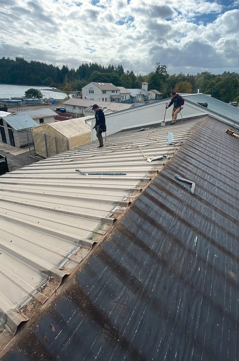 NWFSC Manchester Research Station roof before photo